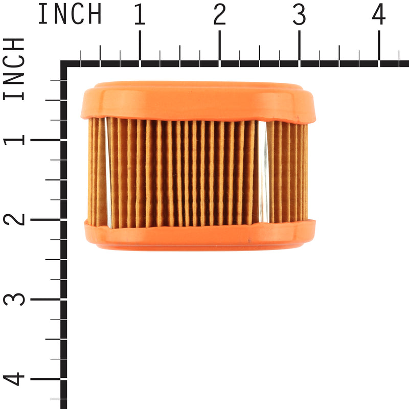 Briggs & Stratton - 790166 - Air Filter