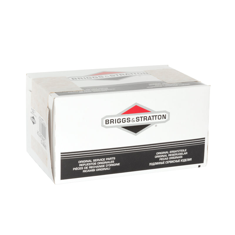 Briggs & Stratton - 595613 - CARBURETOR