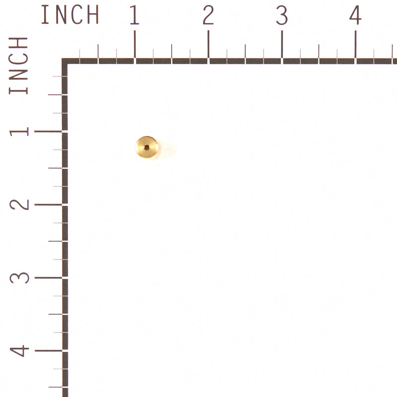 Briggs & Stratton - 799177 - Needle Seat Kit