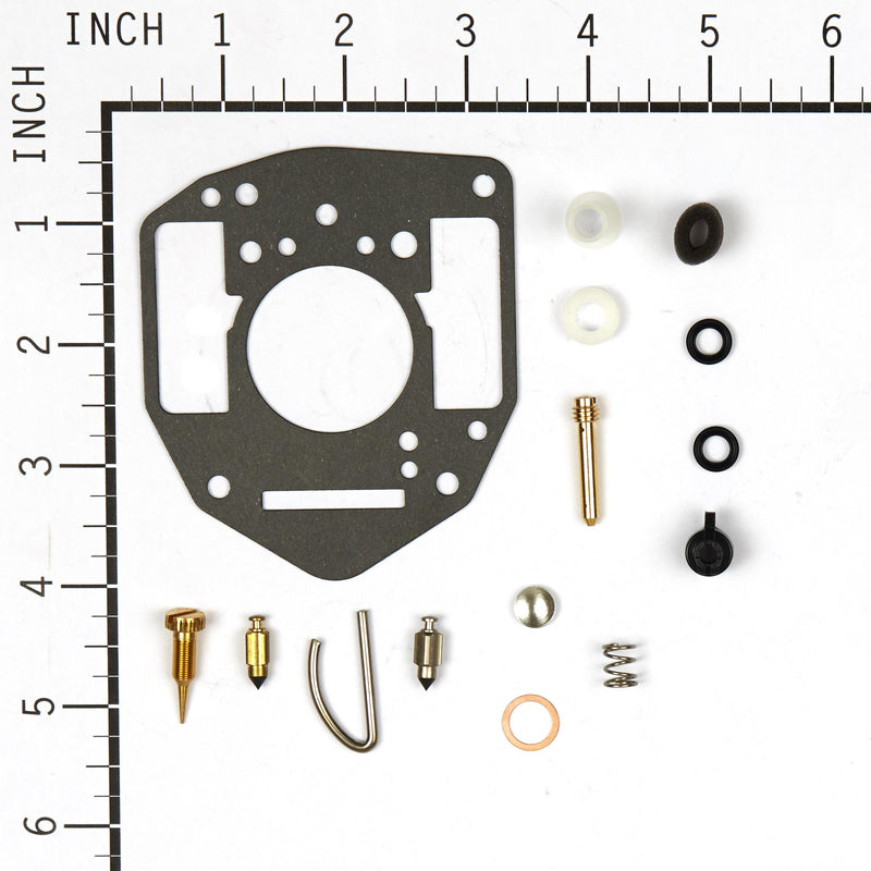 Briggs & Stratton - 809021 - KIT-CARB OVERHAUL
