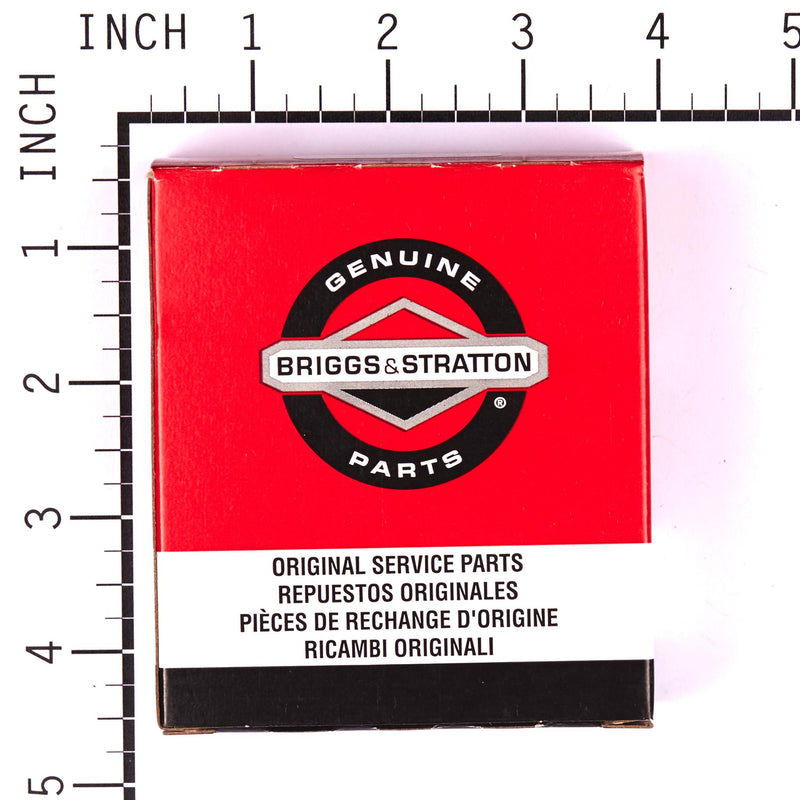 Briggs & Stratton - 494349 - KIT-CARB OVERHAUL