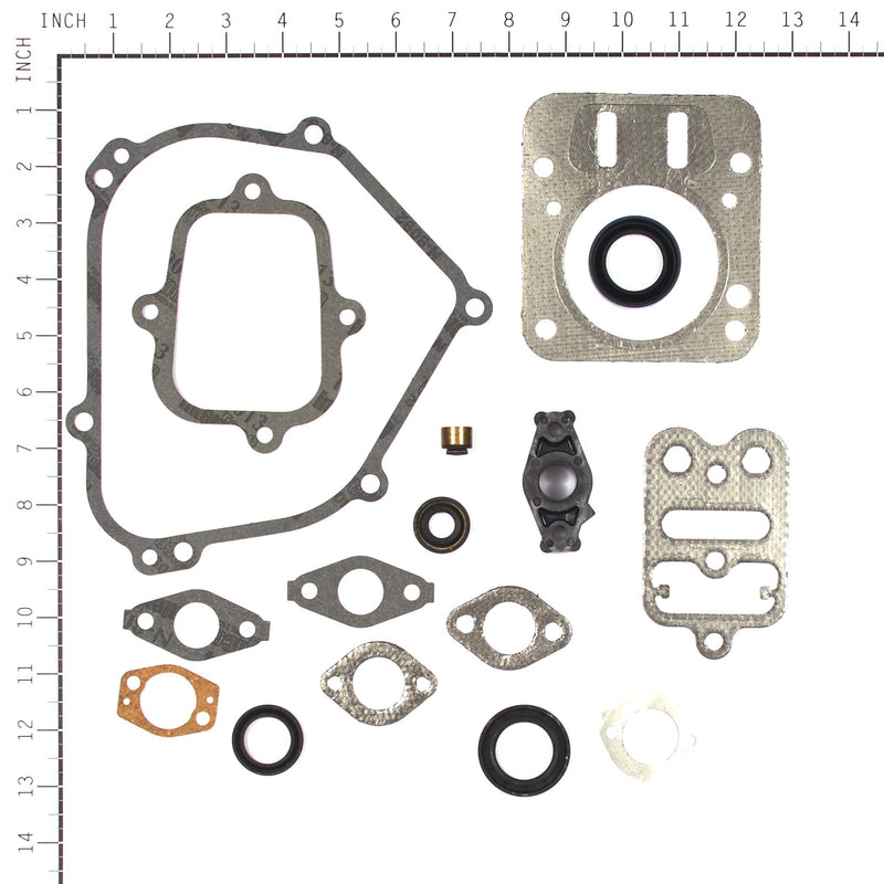 Briggs & Stratton - 698216 - Engine Gasket Set