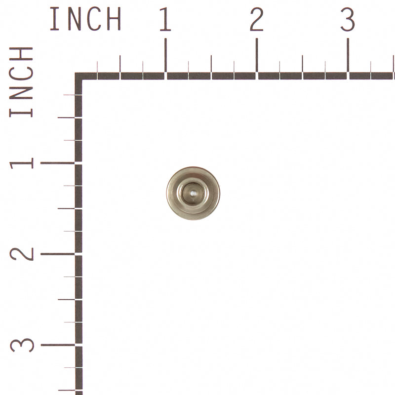 Briggs & Stratton - 557016 - CAP-VALVE