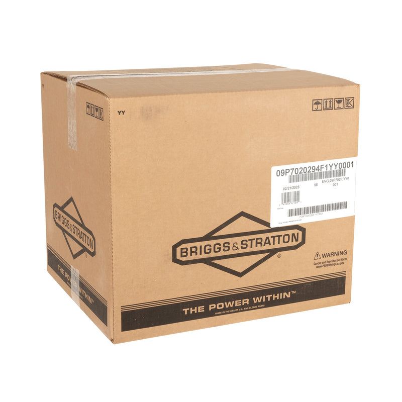 Briggs & Stratton - 9P702-0294-F1 - ENG09P702FYY0001
