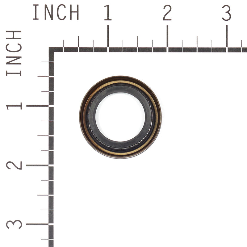 Briggs & Stratton - 4118 - SEAL-OIL (5 X 391483S)