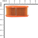 Briggs & Stratton - 792038 - Air Filter Cartridge