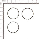 Briggs & Stratton - 555666 - RING SET-020