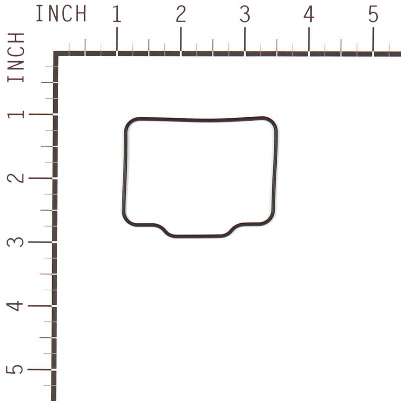 Briggs & Stratton - 555592 - GASKET-FLOAT BOWL