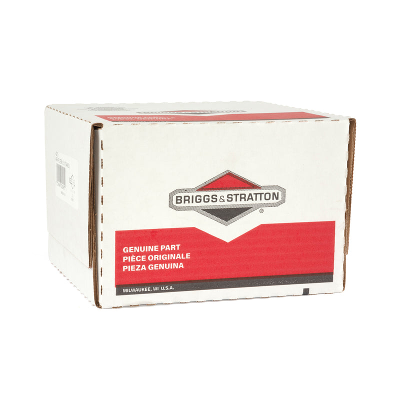 Briggs & Stratton - 4213 - 6 of 794421 Air Filters